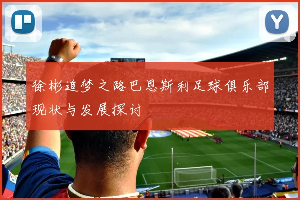徐彬追梦之路巴恩斯利足球俱乐部现状与发展探讨