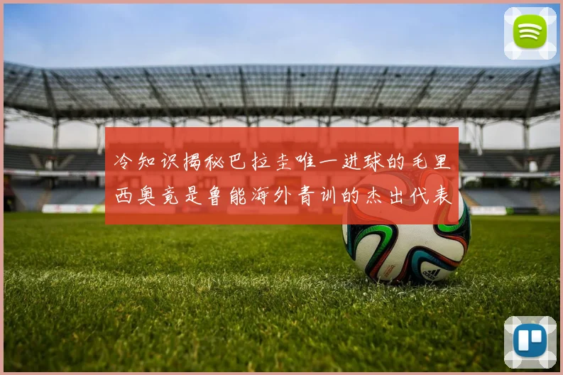 冷知识揭秘巴拉圭唯一进球的毛里西奥竟是鲁能海外青训的杰出代表