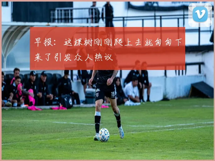 早报：这棵树刚刚爬上去就匆匆下来了引发众人热议